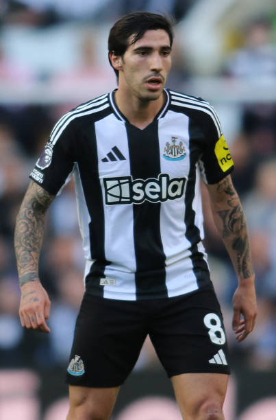 有关猛龙效 有关猛龙效